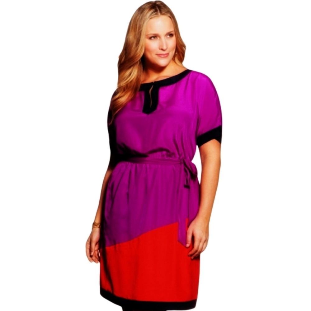 Plus Size Eloquii Colorblock Pocketed Dress 16W